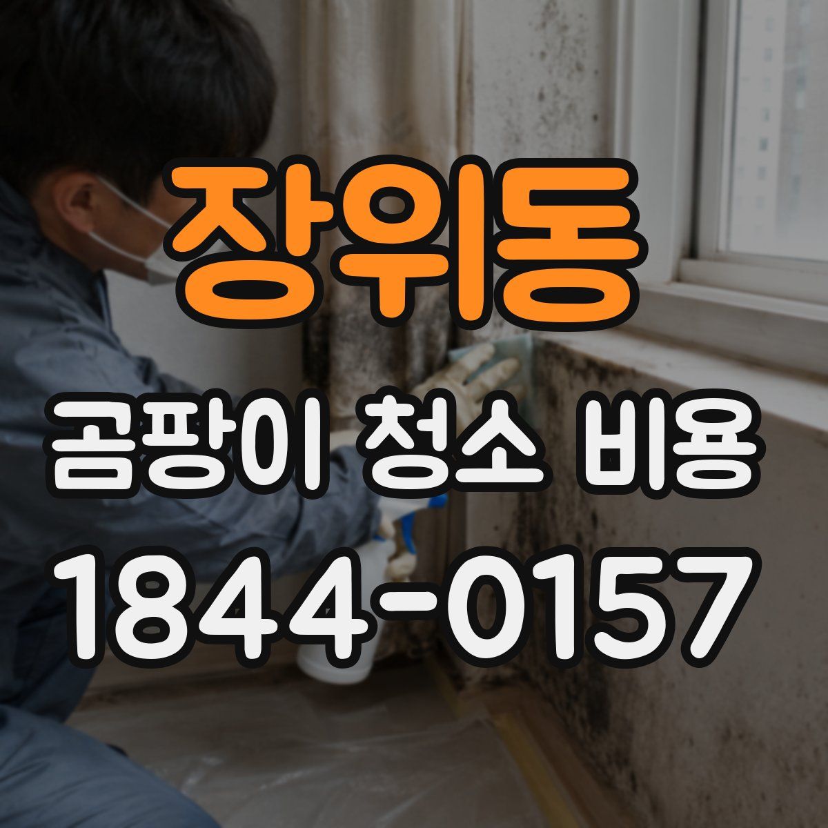 장위동 곰팡이 청소 비용
