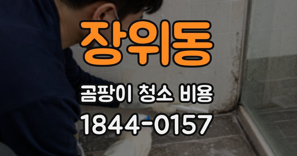 장위동 곰팡이 청소 비용