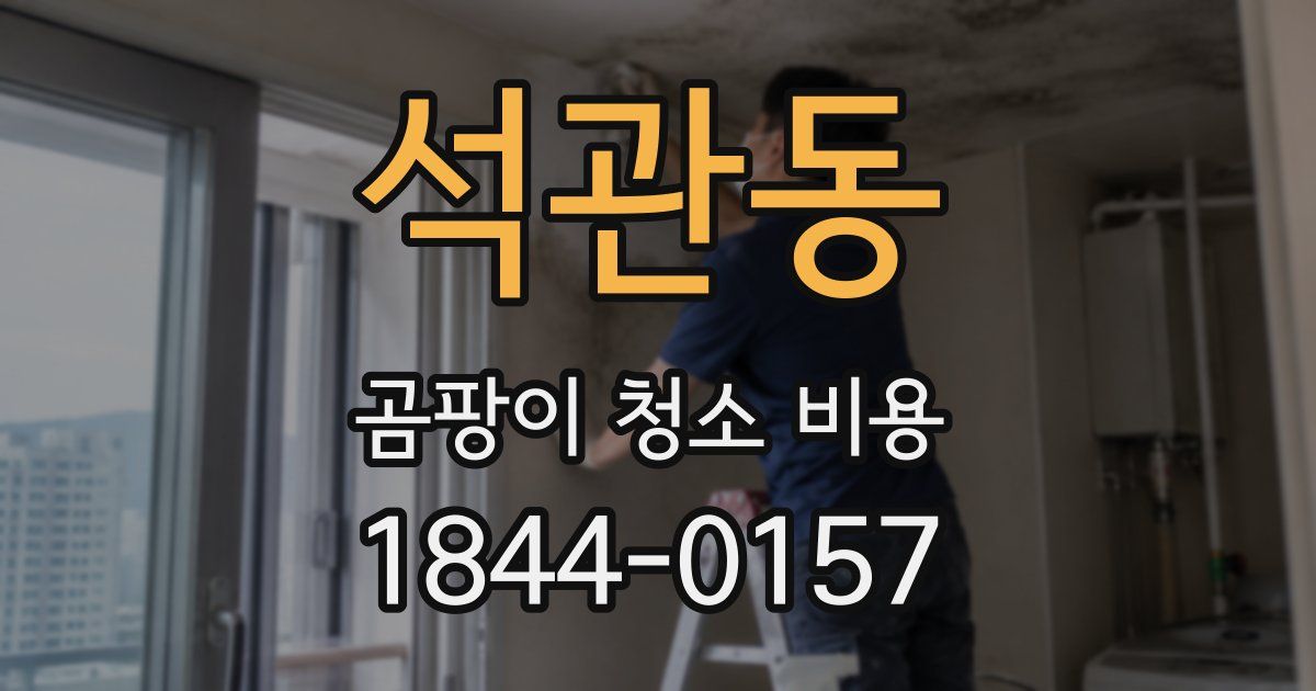 석관동 곰팡이 청소 비용