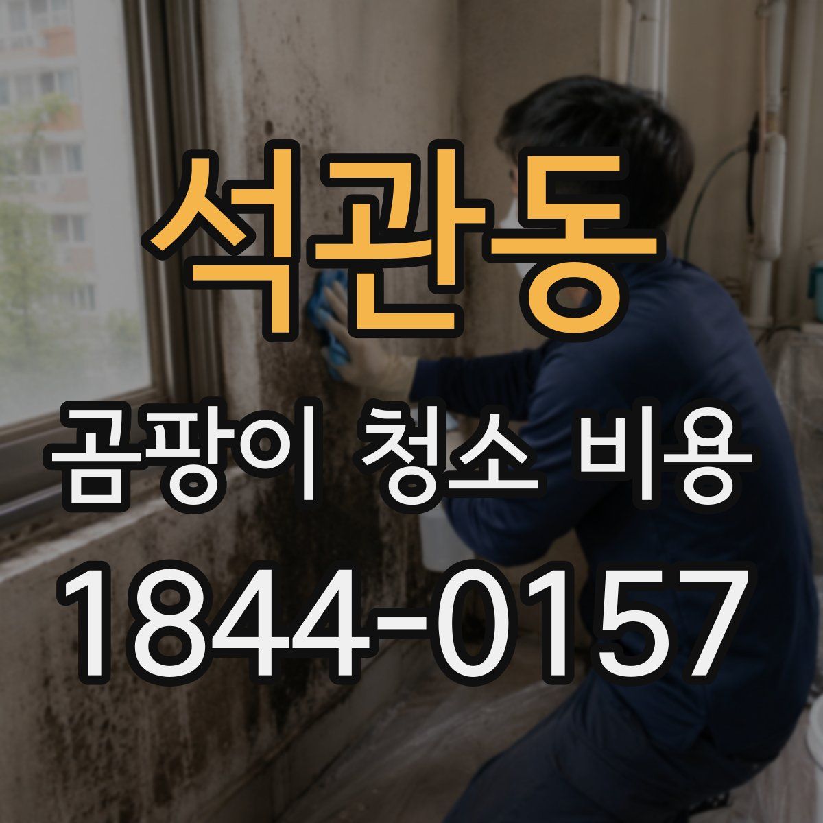 석관동 곰팡이 청소 비용