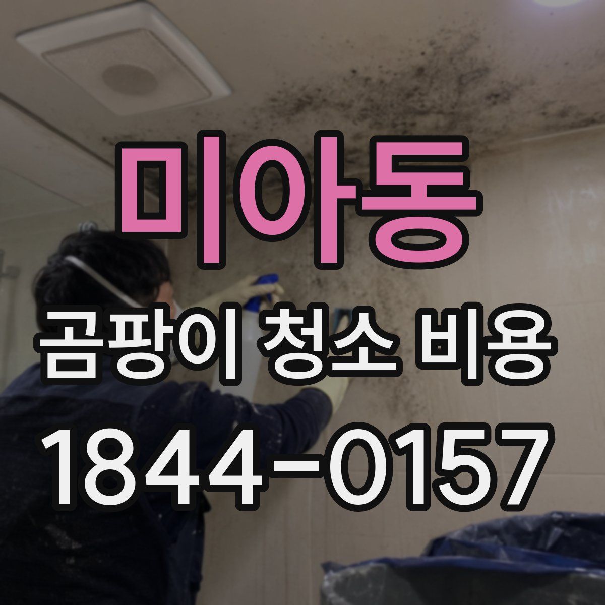 미아동 곰팡이 청소 비용