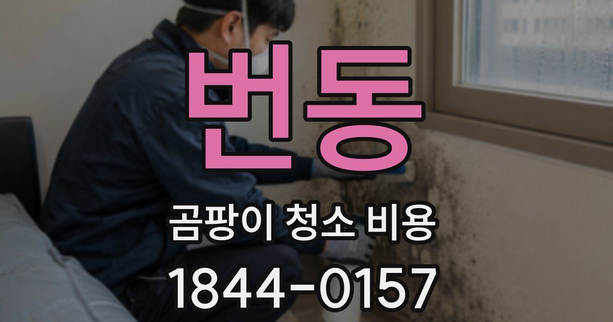번동 곰팡이 청소 비용