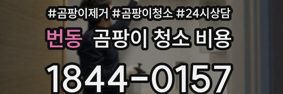 번동 곰팡이 청소 비용