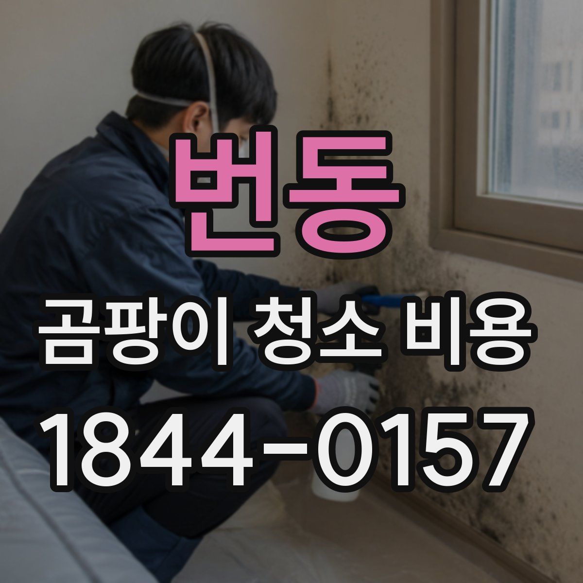 번동 곰팡이 청소 비용