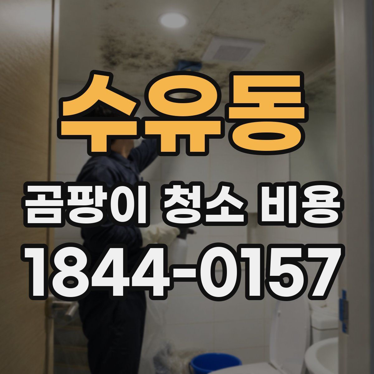 수유동 곰팡이 청소 비용