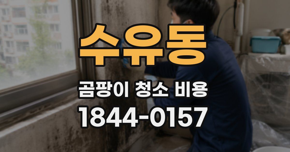 수유동 곰팡이 청소 비용