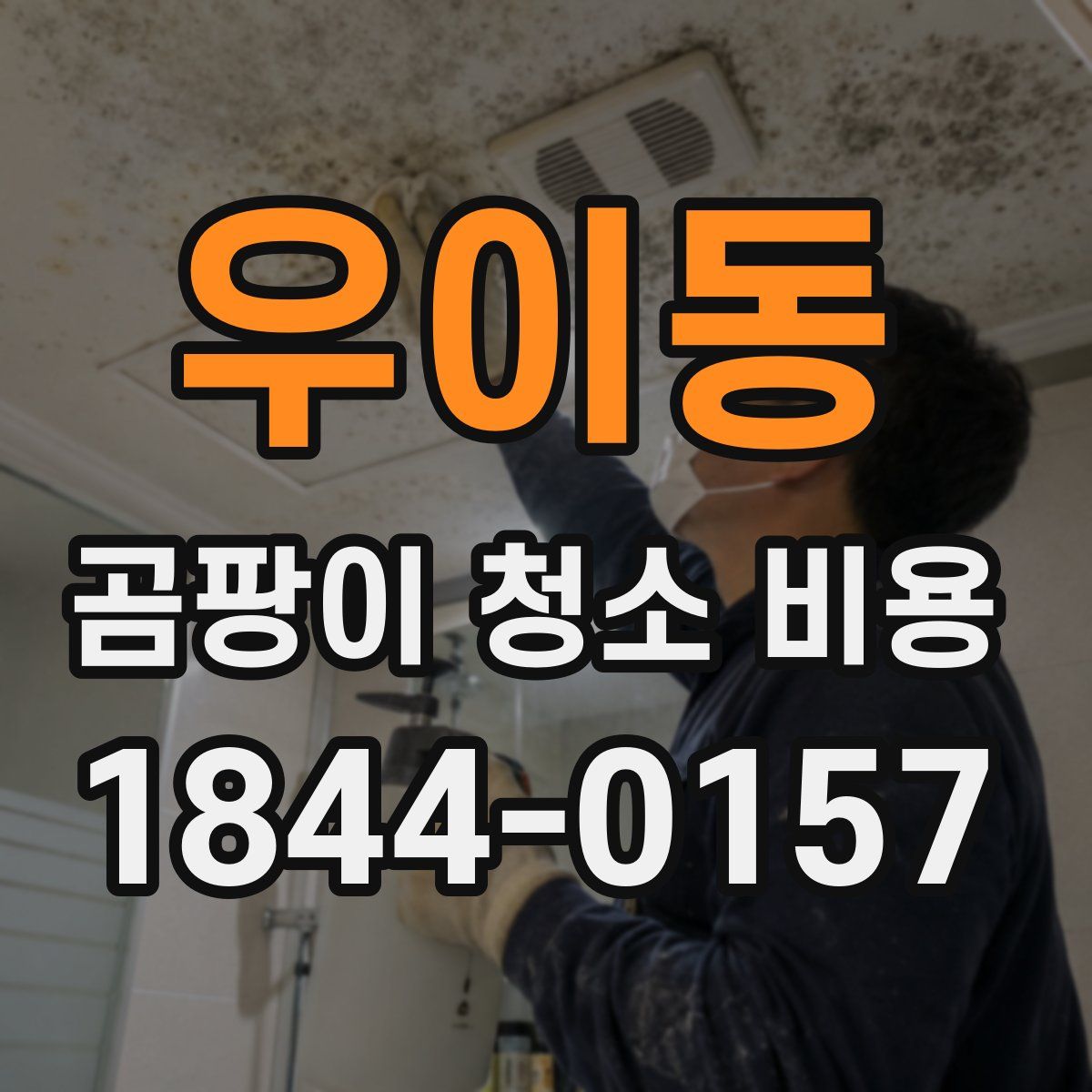우이동 곰팡이 청소 비용