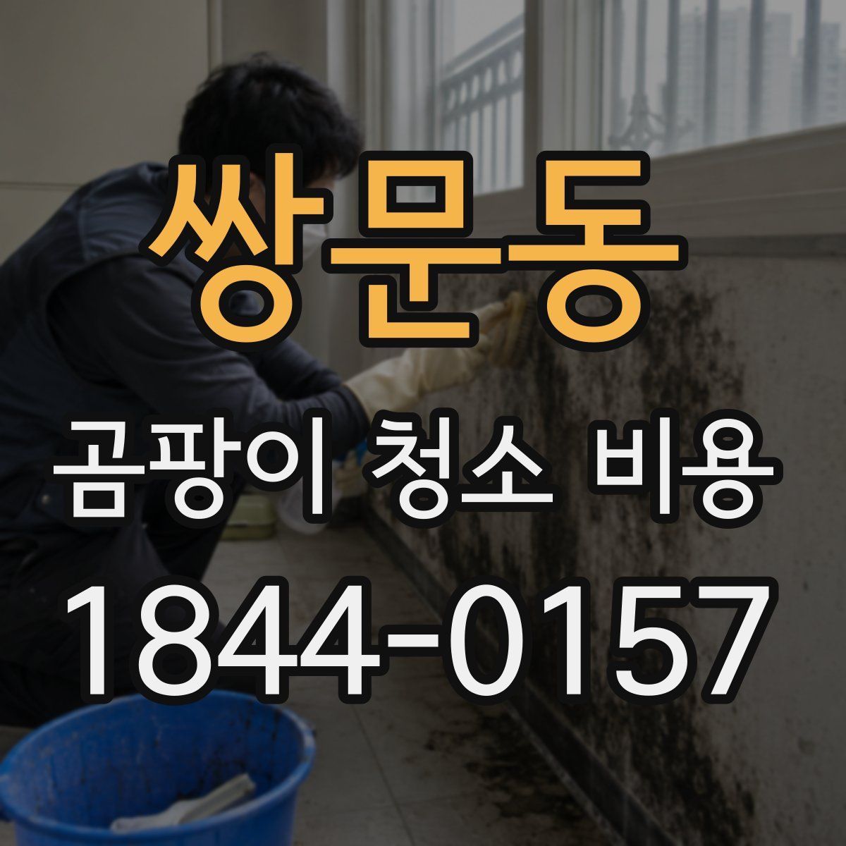 쌍문동 곰팡이 청소 비용