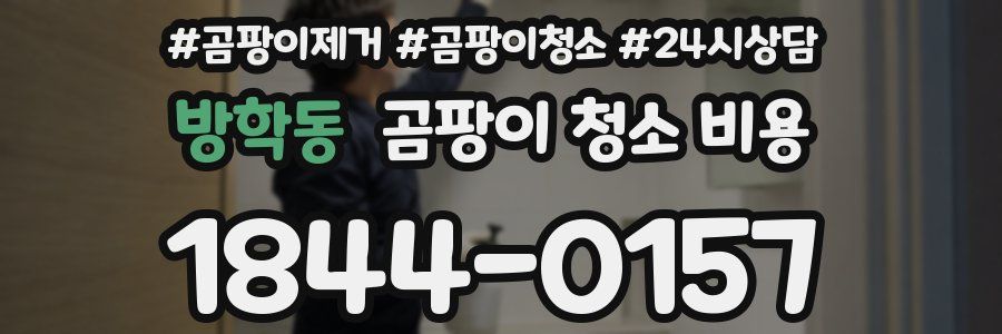 방학동 곰팡이 청소 비용