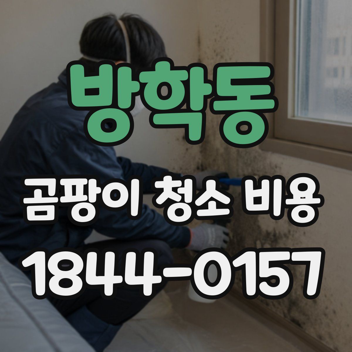 방학동 곰팡이 청소 비용