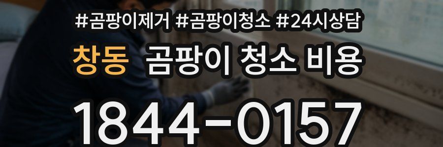 창동 곰팡이 청소 비용