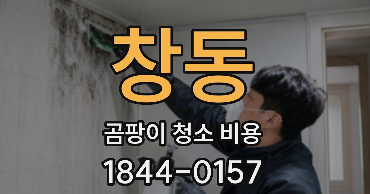 창동 곰팡이 청소 비용