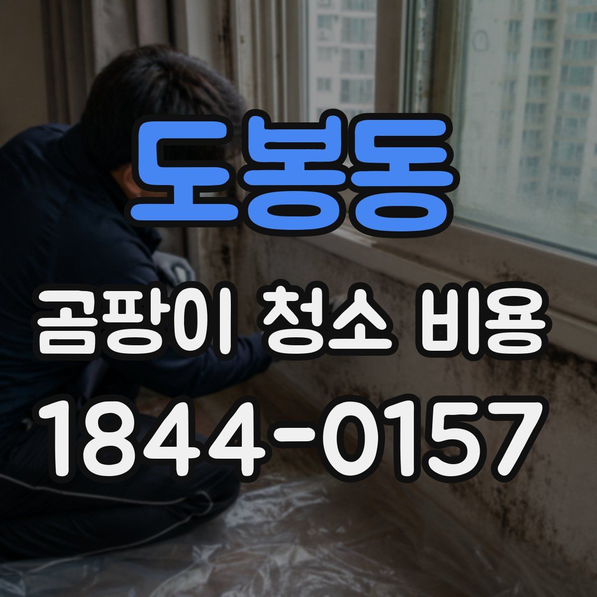 도봉동 곰팡이 청소 비용