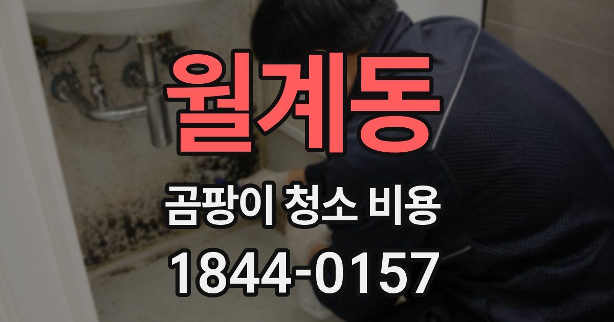 월계동 곰팡이 청소 비용