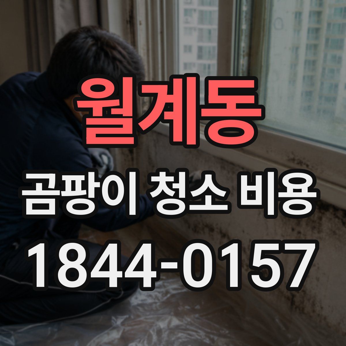월계동 곰팡이 청소 비용