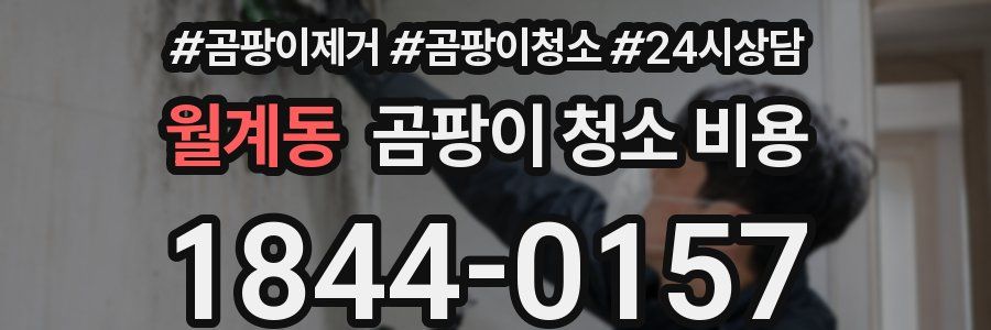 월계동 곰팡이 청소 비용