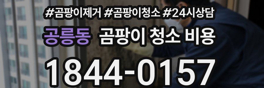 공릉동 곰팡이 청소 비용