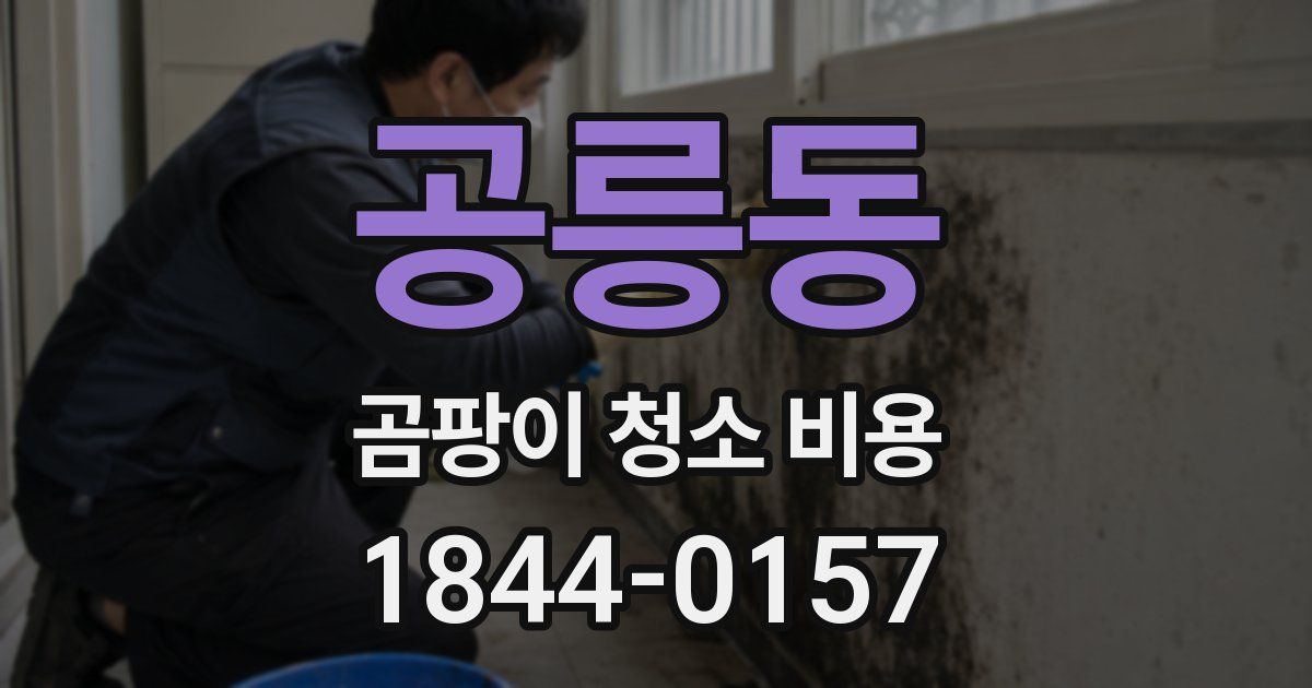 공릉동 곰팡이 청소 비용