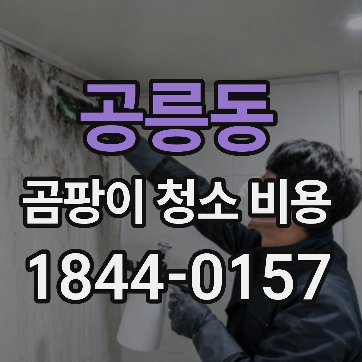 공릉동 곰팡이 청소 비용
