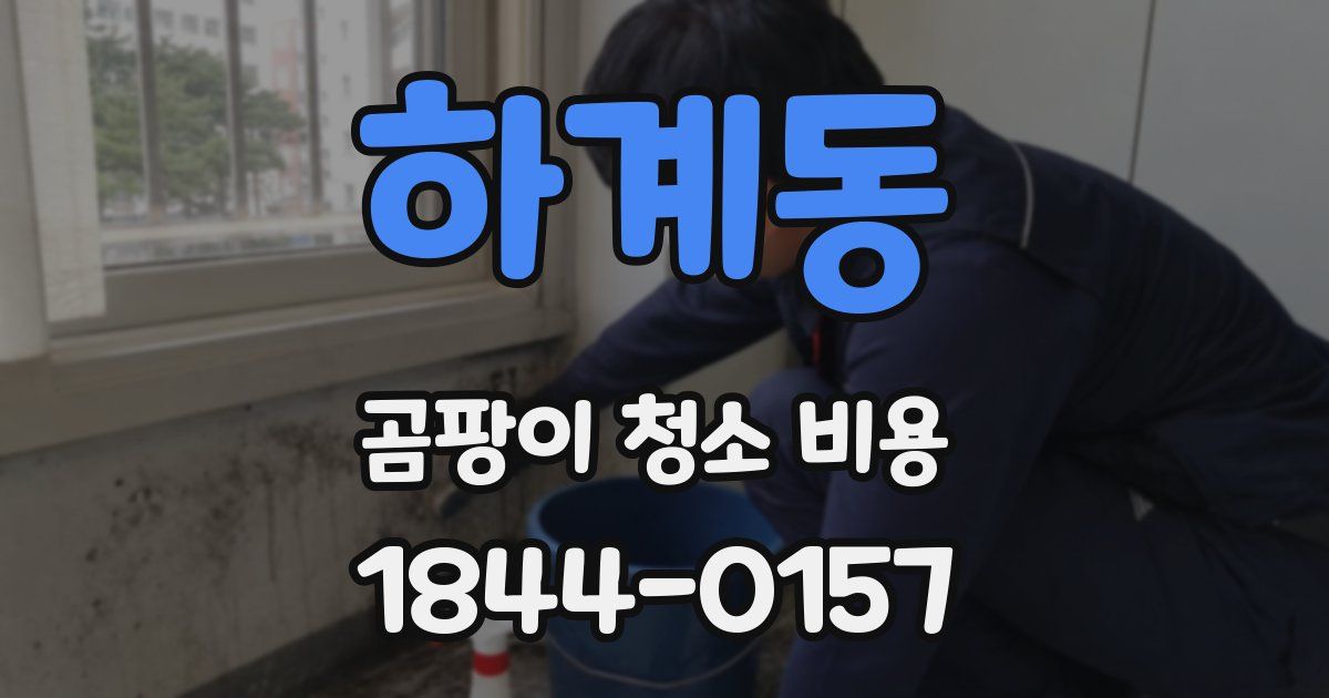 하계동 곰팡이 청소 비용