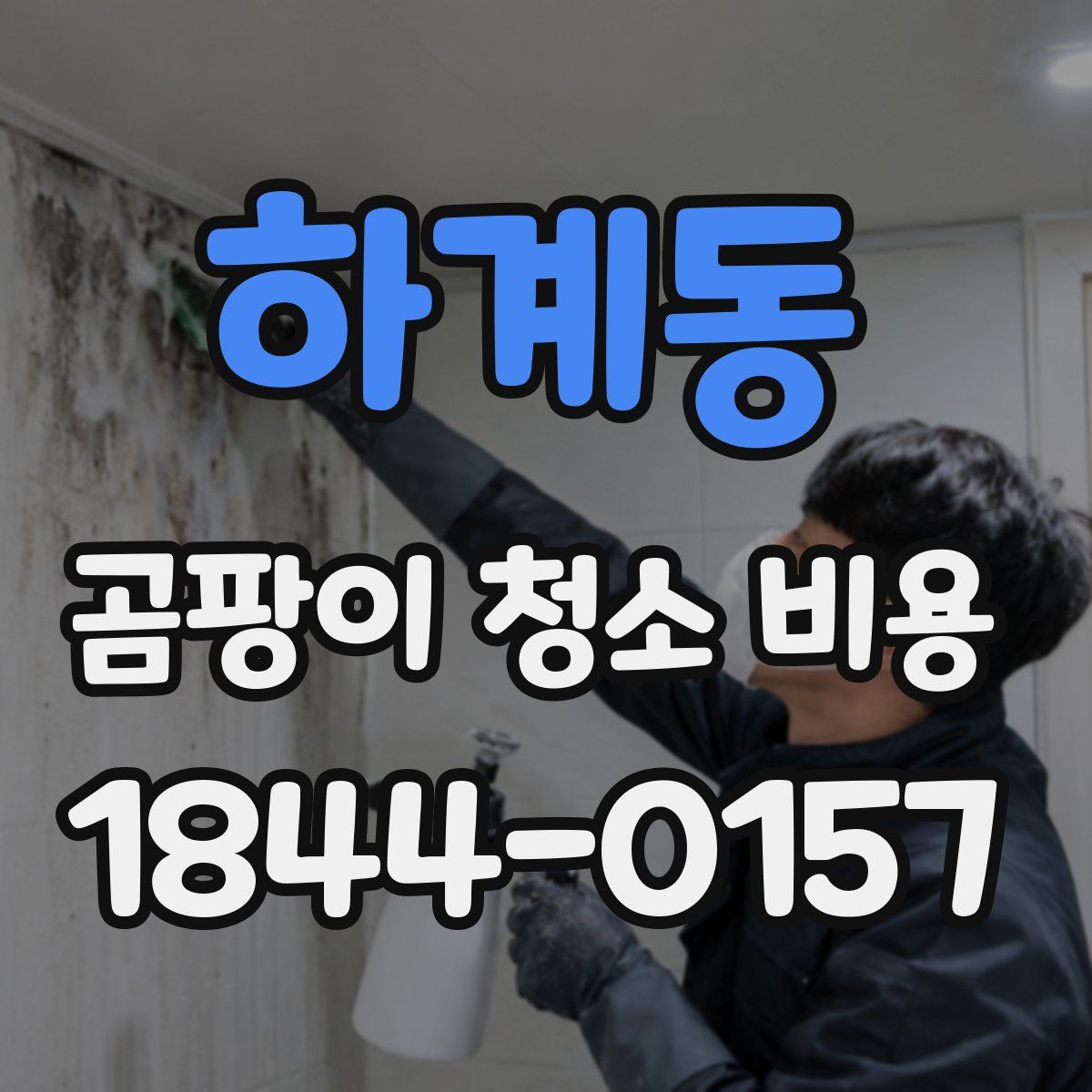 하계동 곰팡이 청소 비용