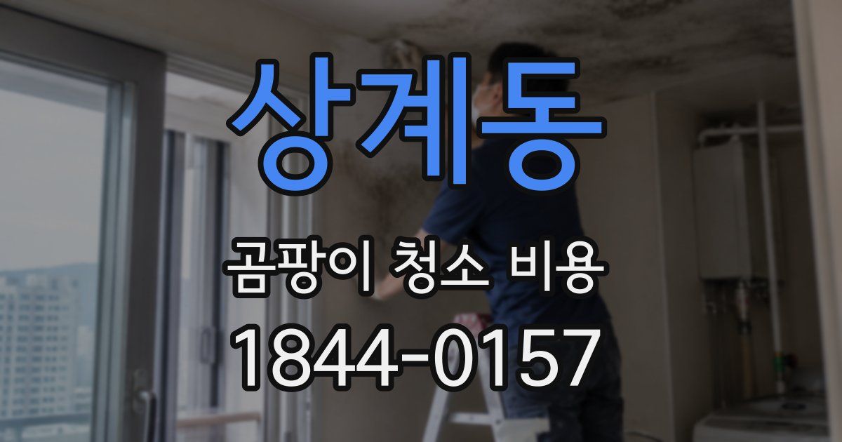 상계동 곰팡이 청소 비용