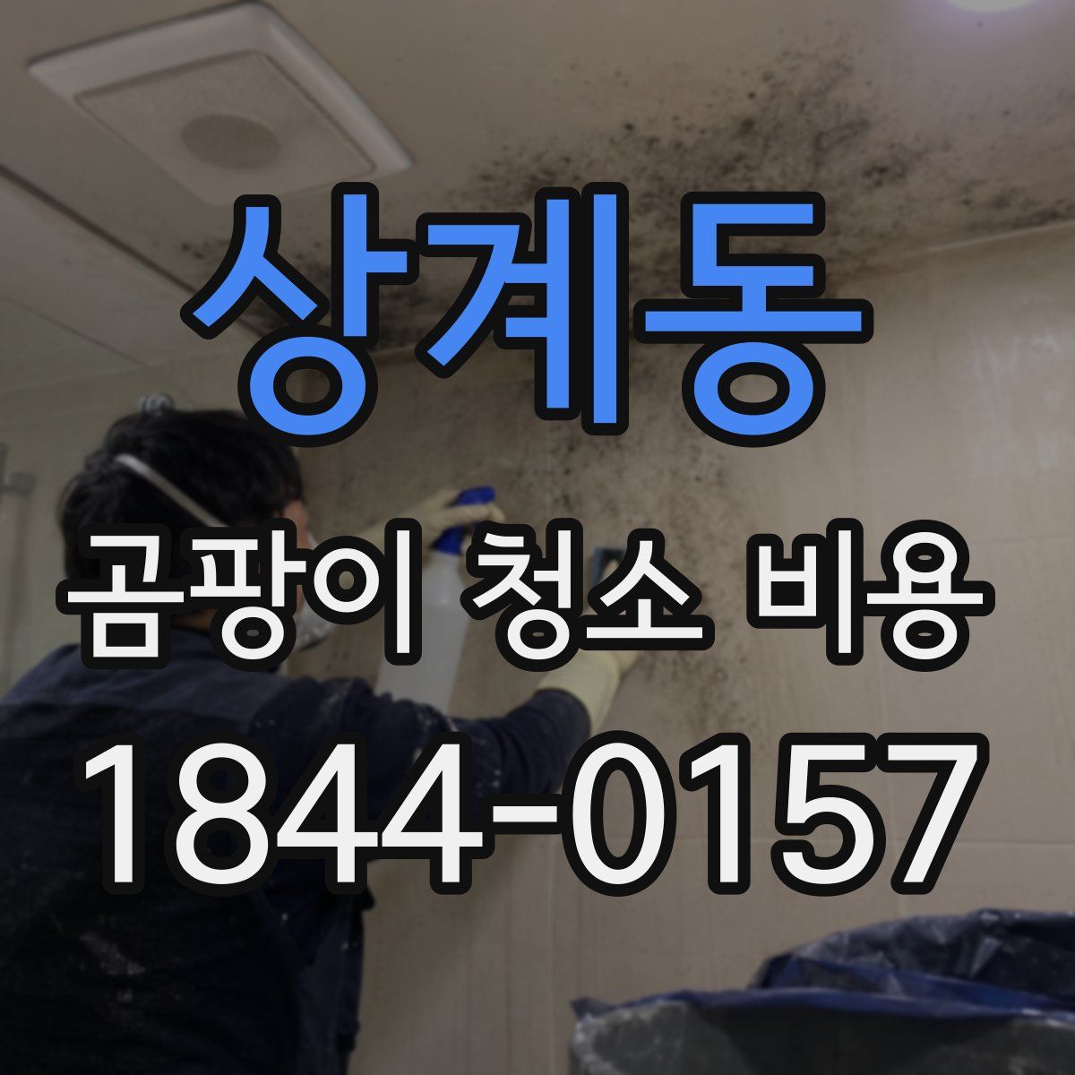 상계동 곰팡이 청소 비용