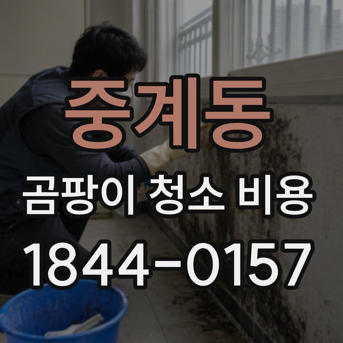 중계동 곰팡이 청소 비용 세입자와 집주인 분담은 어떻게 나뉠까