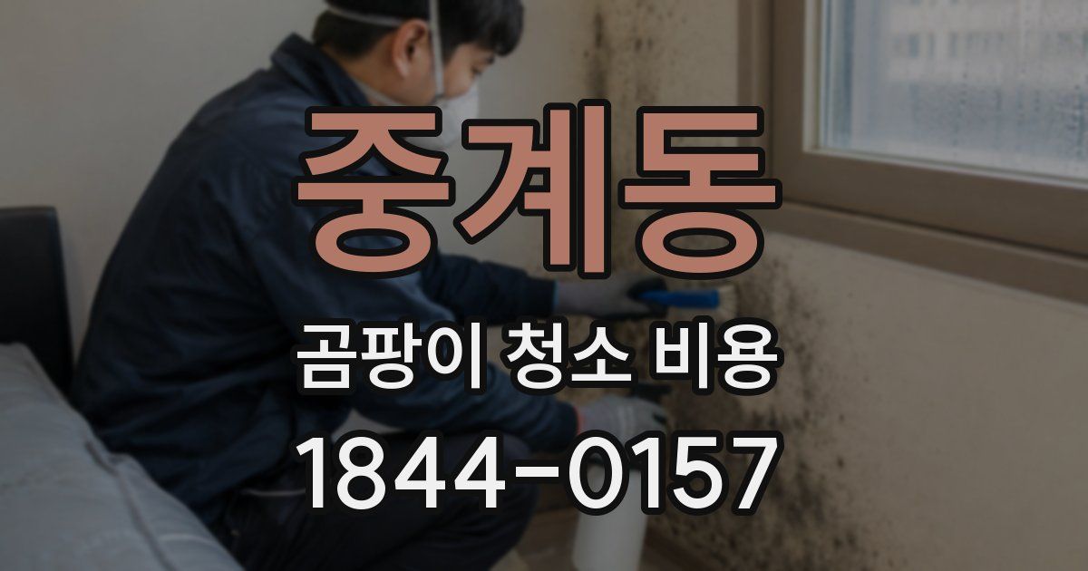 중계동 곰팡이 청소 비용