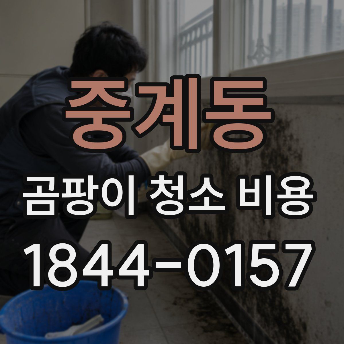 중계동 곰팡이 청소 비용
