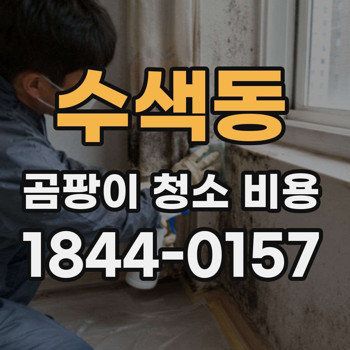 수색동 곰팡이 청소 비용