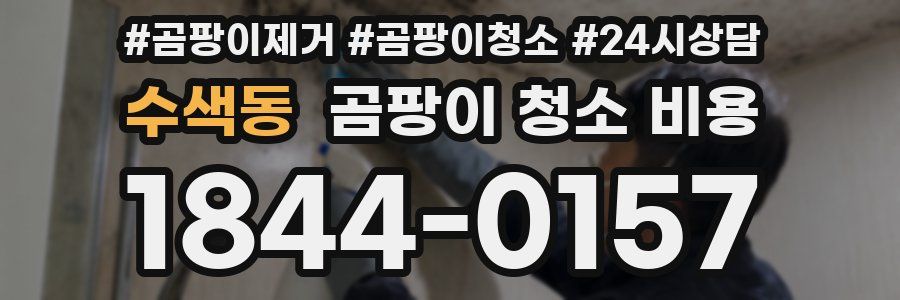 수색동 곰팡이 청소 비용