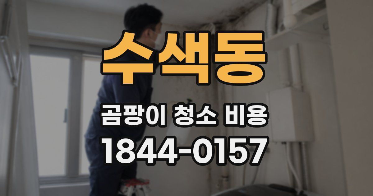 수색동 곰팡이 청소 비용