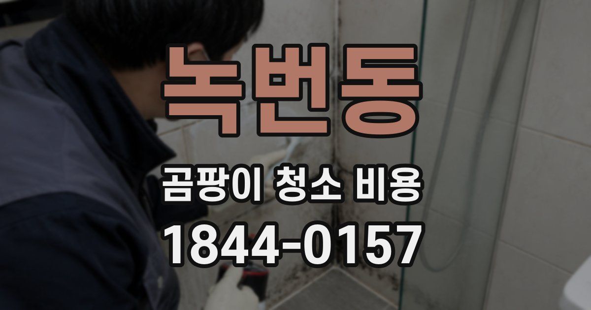 녹번동 곰팡이 청소 비용
