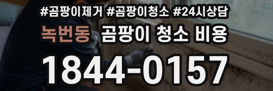 녹번동 곰팡이 청소 비용