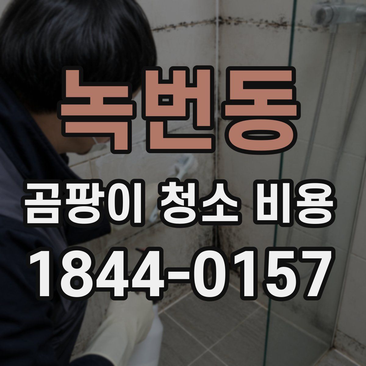 녹번동 곰팡이 청소 비용