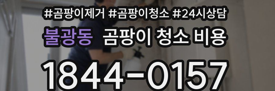 불광동 곰팡이 청소 비용