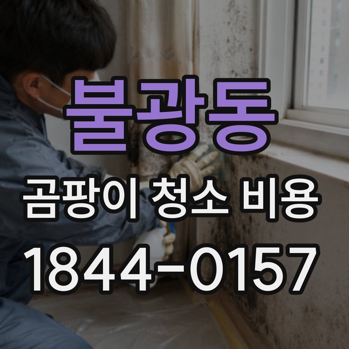 불광동 곰팡이 청소 비용