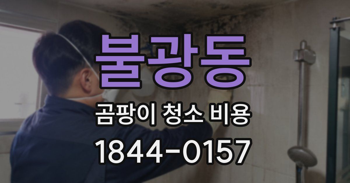 불광동 곰팡이 청소 비용