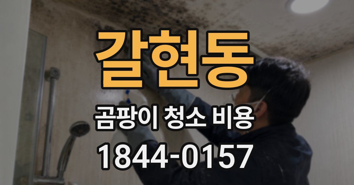 갈현동 곰팡이 청소 비용