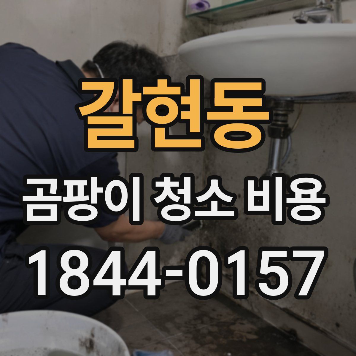 갈현동 곰팡이 청소 비용