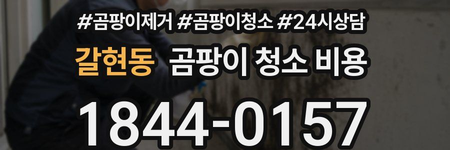 갈현동 곰팡이 청소 비용