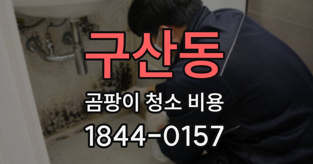 구산동 곰팡이 청소 비용