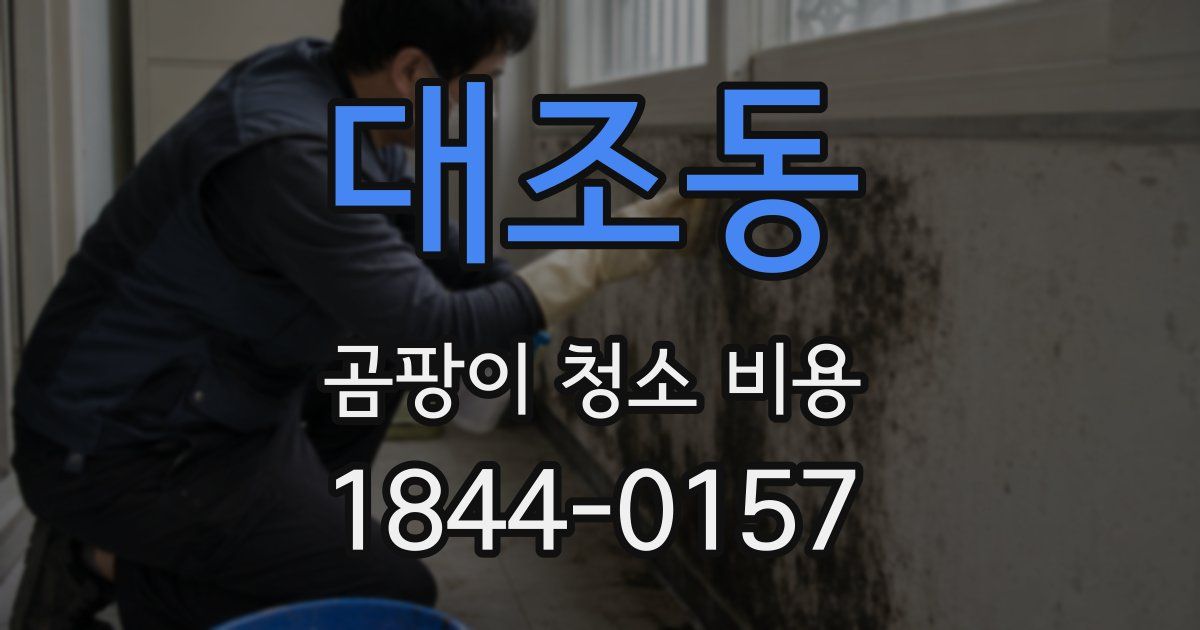 대조동 곰팡이 청소 비용
