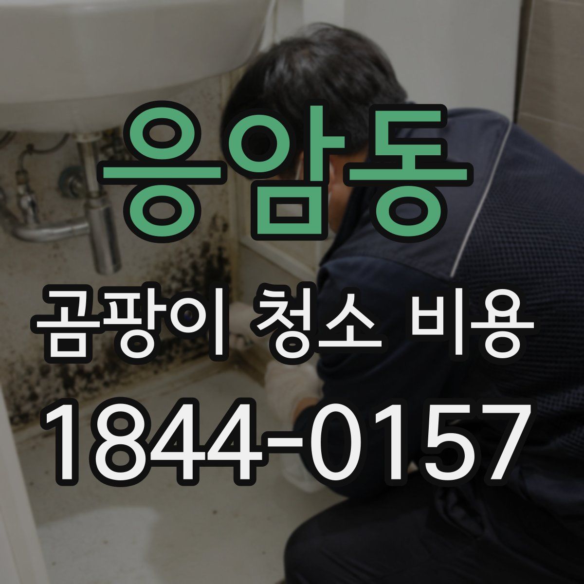 응암동 곰팡이 청소 비용