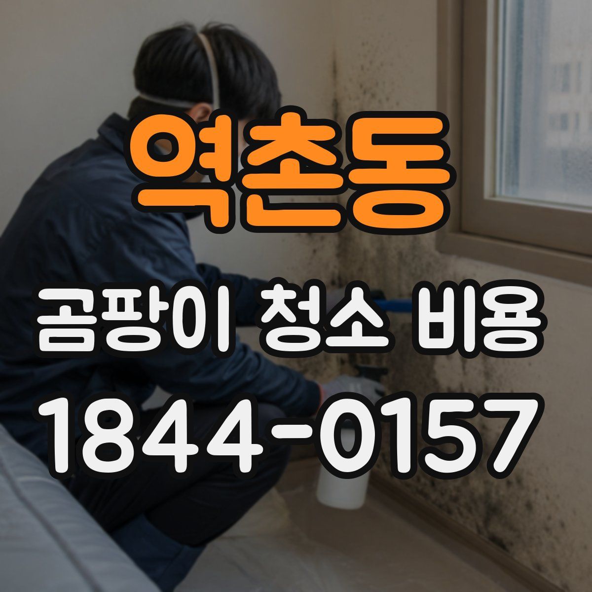 역촌동 곰팡이 청소 비용