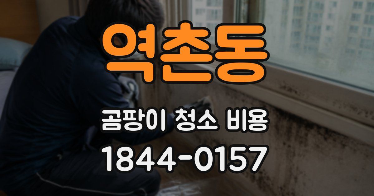 역촌동 곰팡이 청소 비용
