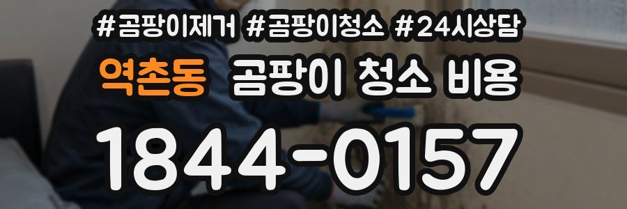 역촌동 곰팡이 청소 비용