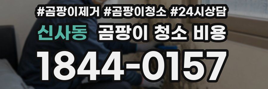 신사동 곰팡이 청소 비용