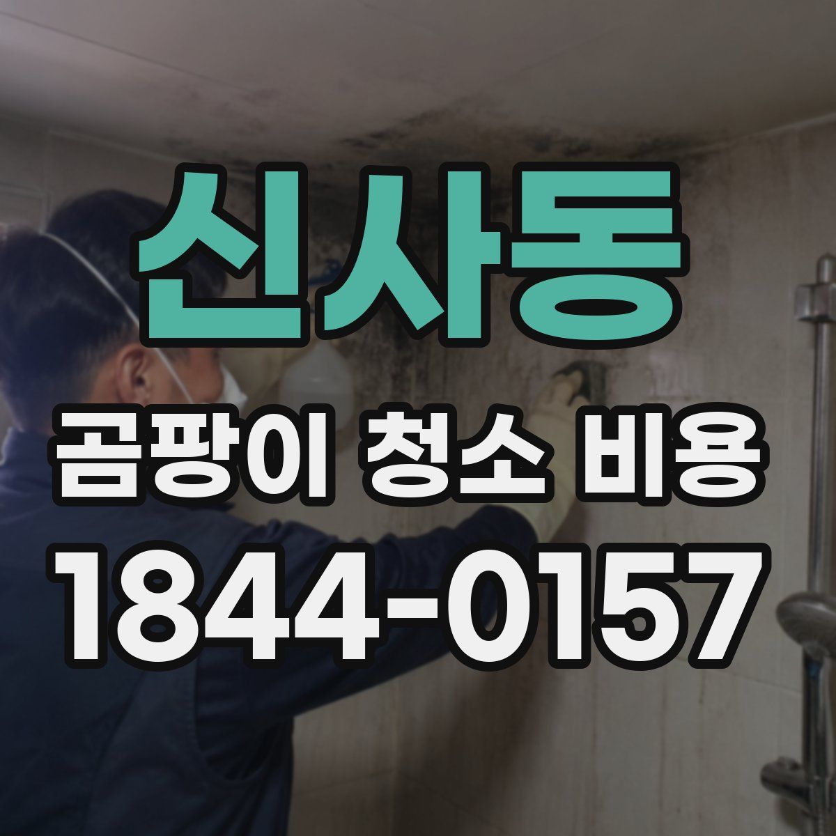 신사동 곰팡이 청소 비용